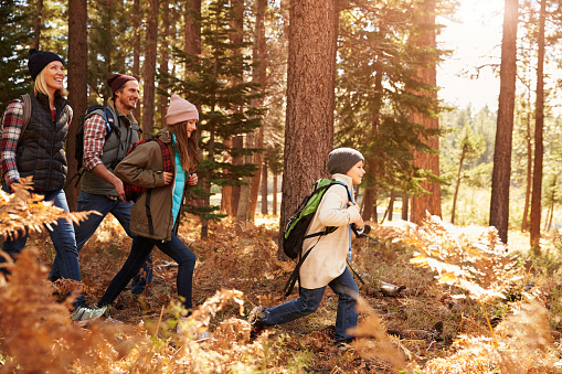 Image of a family hiking through a forest